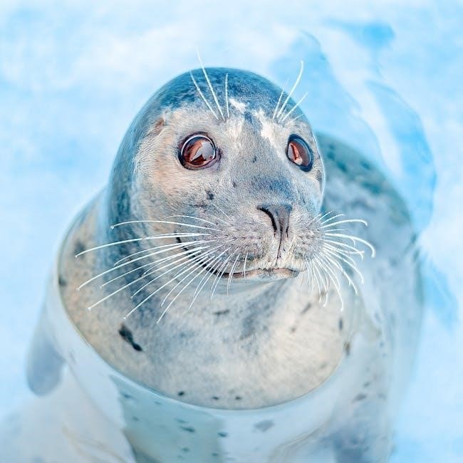 511 seal and enhance instructions