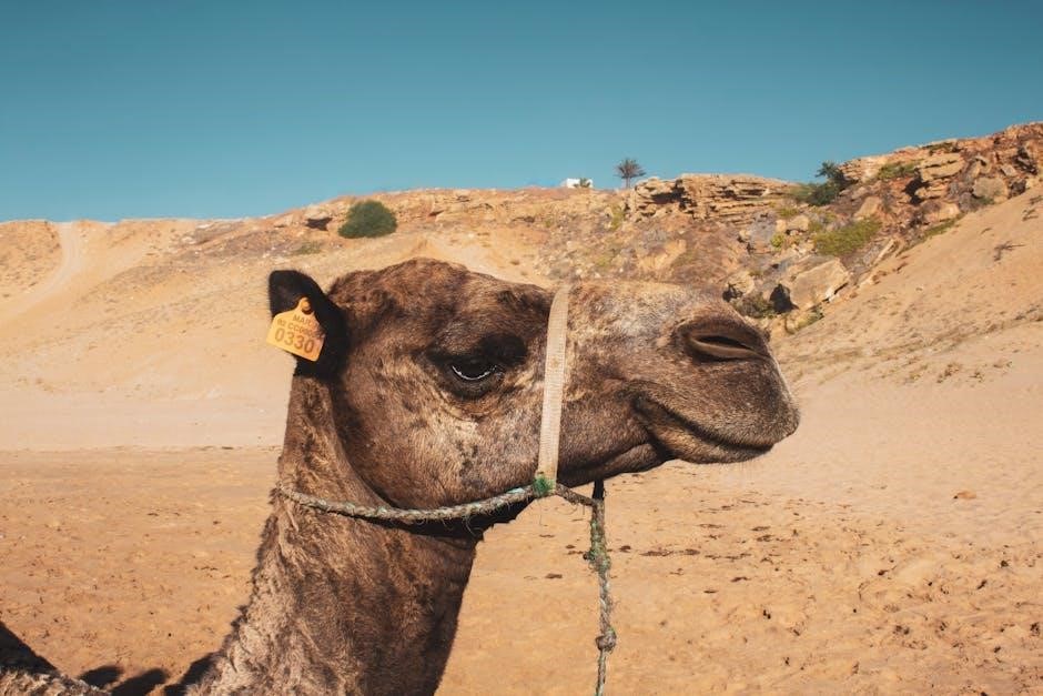 southland safari guided tours
